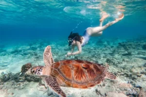 Girl-snorkeling-in-Gili-T-1024x682-800x460