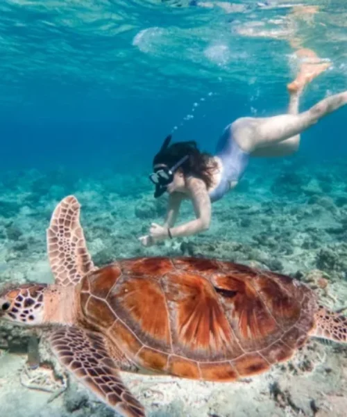 Girl-snorkeling-in-Gili-T-1024x682-800x460 Girl-snorkeling-in-Gili-T-1024x682-800x460
