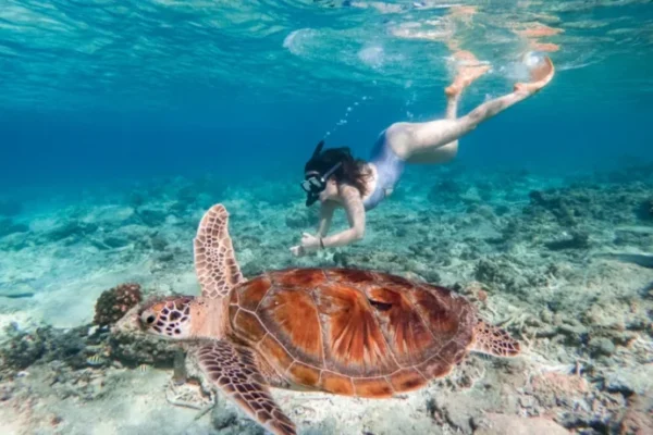 Girl-snorkeling-in-Gili-T-1024x682-800x460