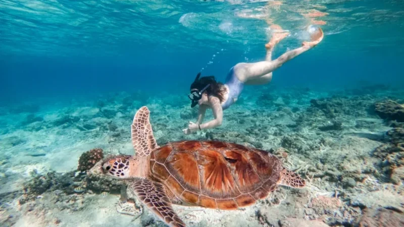 Girl-snorkeling-in-Gili-T-1024x682-800x460 Girl-snorkeling-in-Gili-T-1024x682-800x460