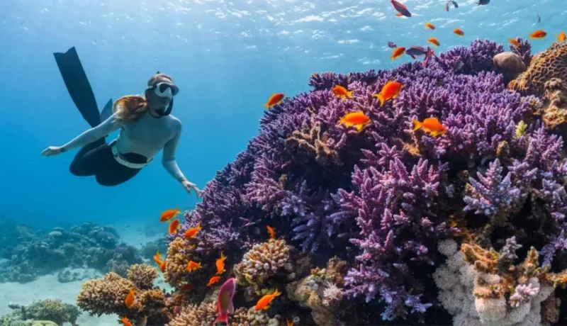 Girl-snorkeling-in-Gili-Trawangan-1024x523-800x460