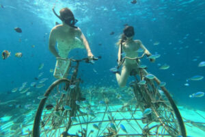 Private-Snorkellng-During-8-Hours-600x400