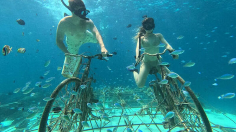 Private-Snorkellng-During-8-Hours-600x400 Private-Snorkellng-During-8-Hours-600x400
