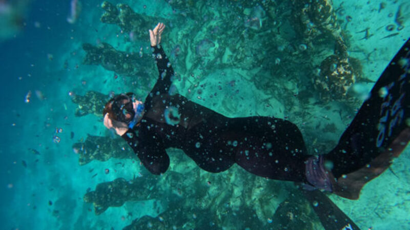 Shared-Snorkeling-With-The-Group-During-4-Hours-600x400 Shared-Snorkeling-With-The-Group-During-4-Hours-600x400