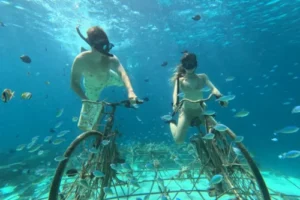 gili-snorkeling-center-gallery-2-500x600