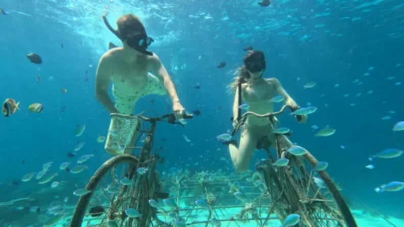 gili-snorkeling-center-gallery-2-500x600 gili-snorkeling-center-gallery-2-500x600
