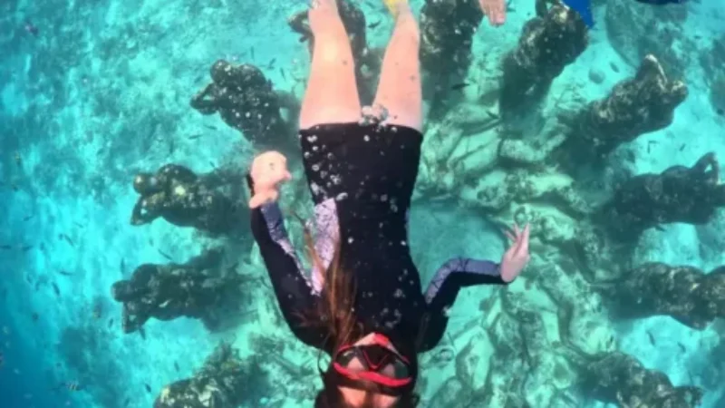 gili-snorkeling-center-gallery-33-500x600 gili-snorkeling-center-gallery-33-500x600