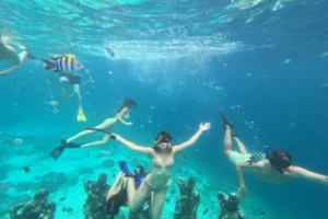 gili-snorkeling-center-gallery-7-500x600