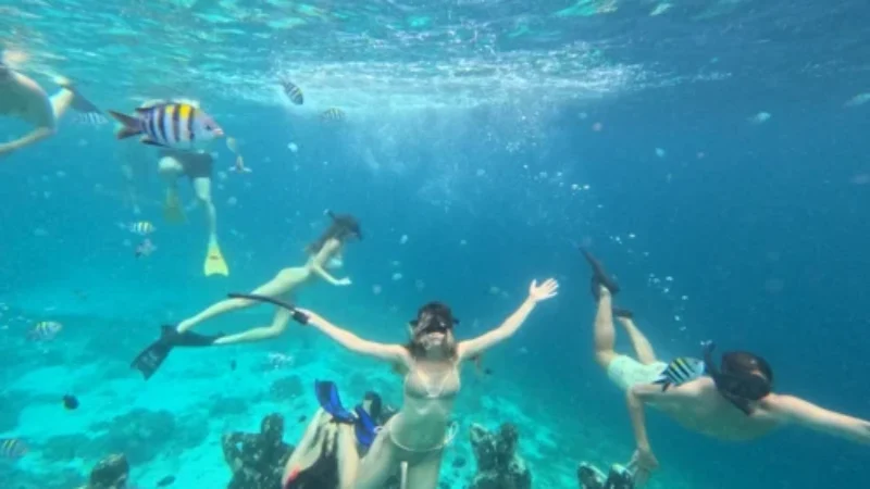 gili-snorkeling-center-gallery-7-500x600 gili-snorkeling-center-gallery-7-500x600